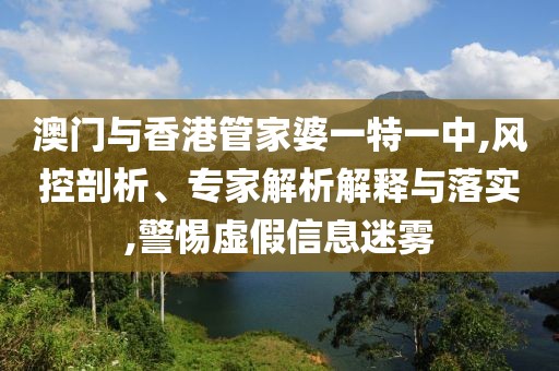 澳门与香港管家婆一特一中,风控剖析、专家解析解释与落实,警惕虚假信息迷雾