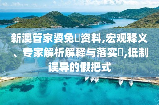 新澳管家婆免費资料,宏观释义、专家解析解释与落实​,抵制误导的假把式