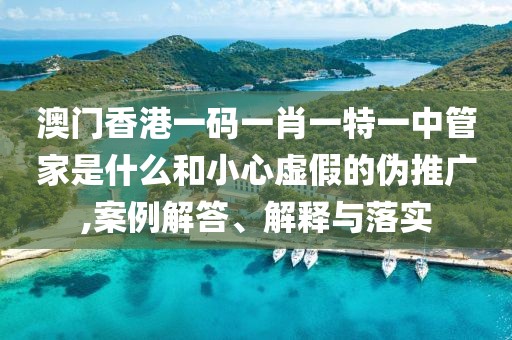 澳门香港一码一肖一特一中管家是什么和小心虚假的伪推广,案例解答、解释与落实